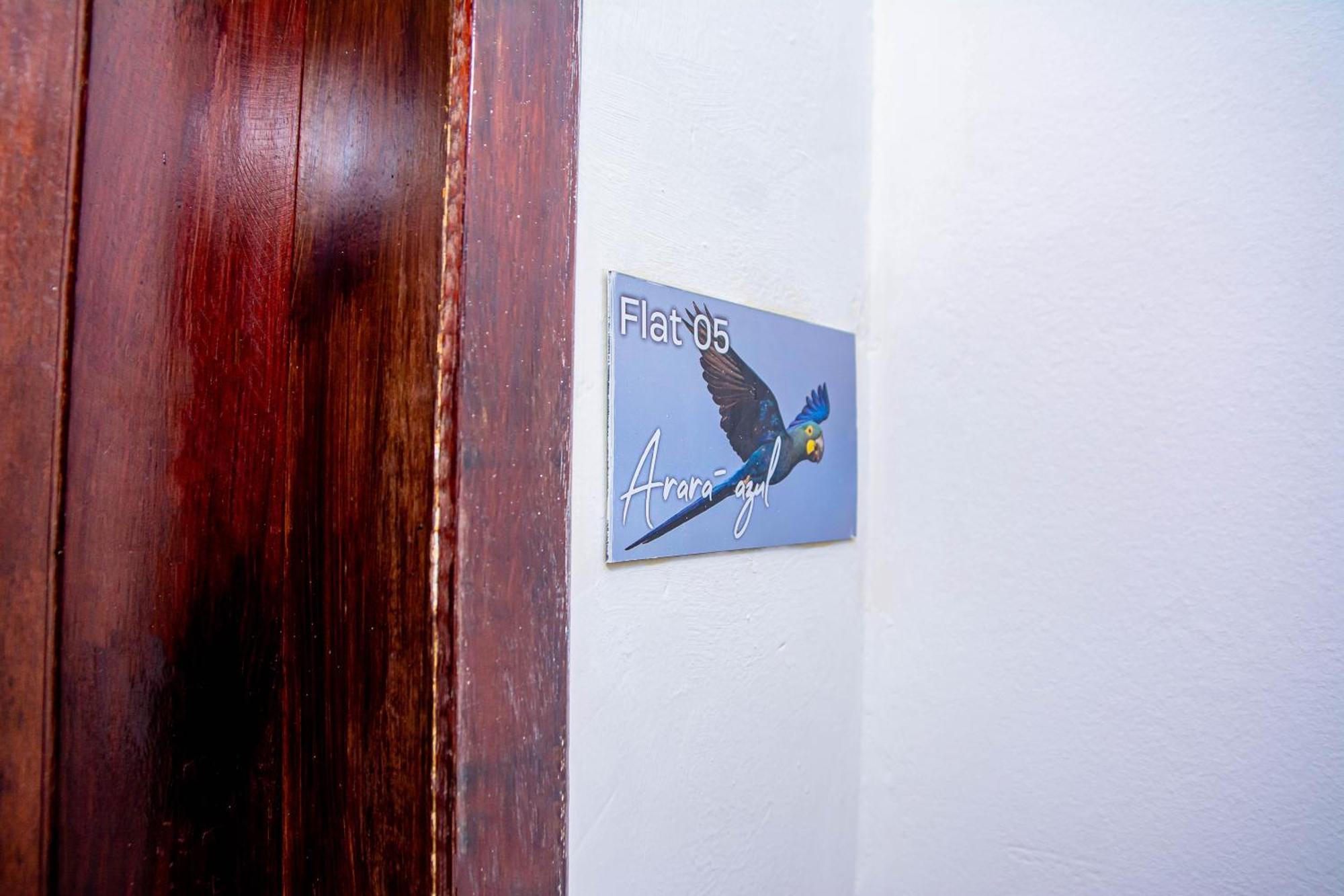 Flat Castor Apartment