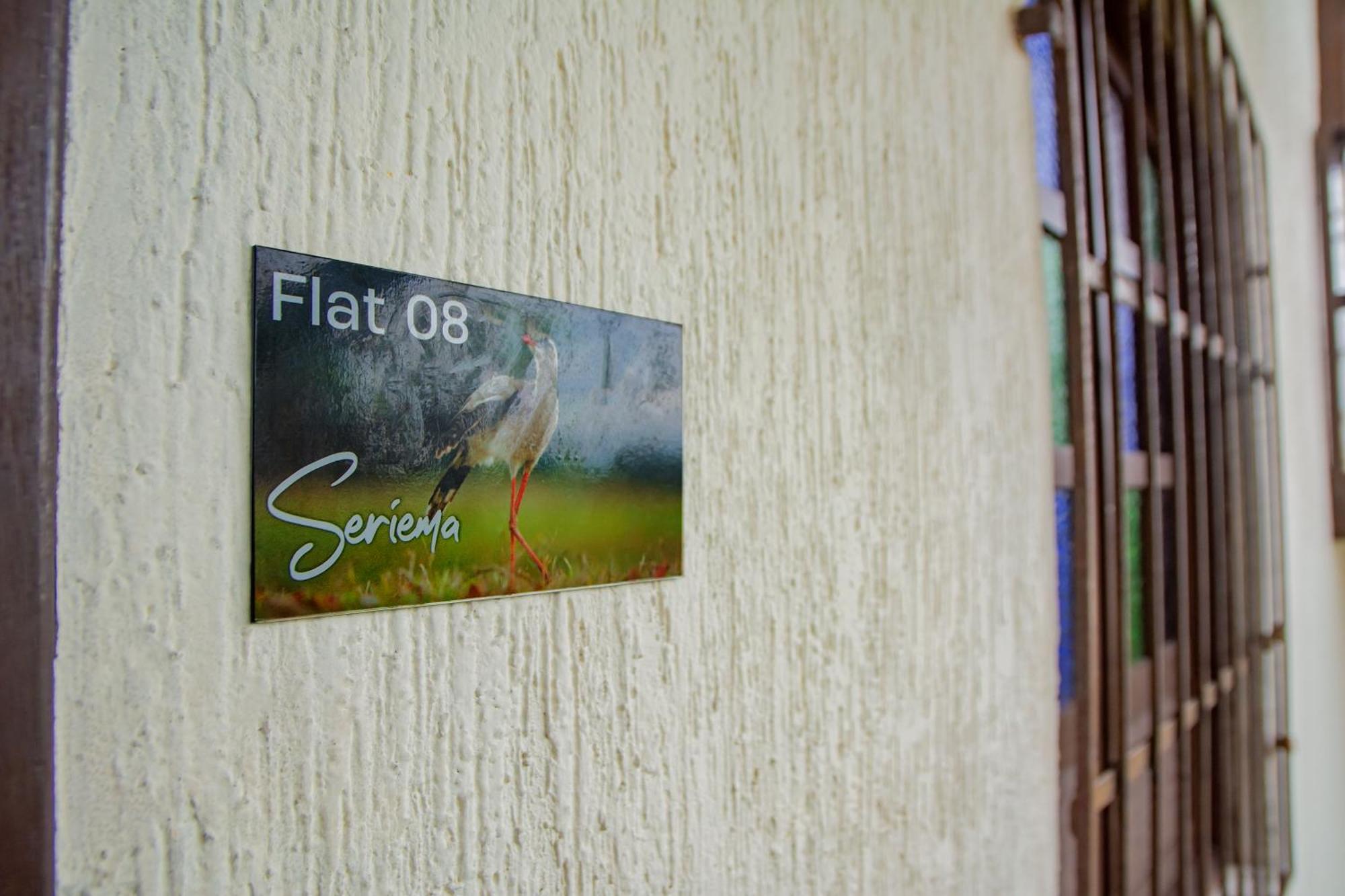 Flat Castor * Natal