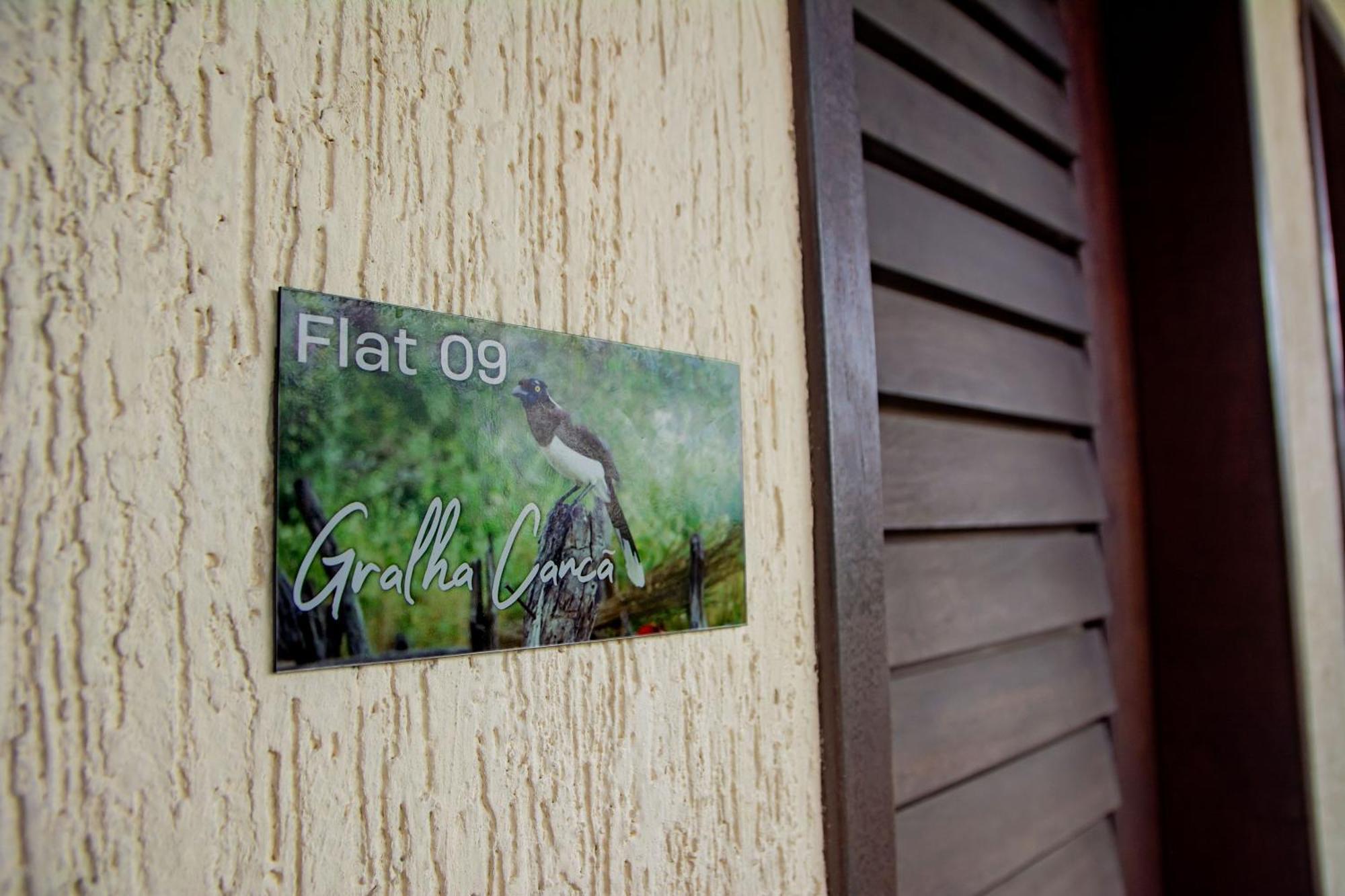 Flat Castor * Natal